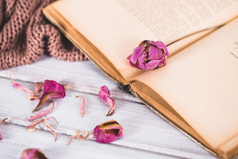 Dried flowers with a book and a warm scarf on wooden background